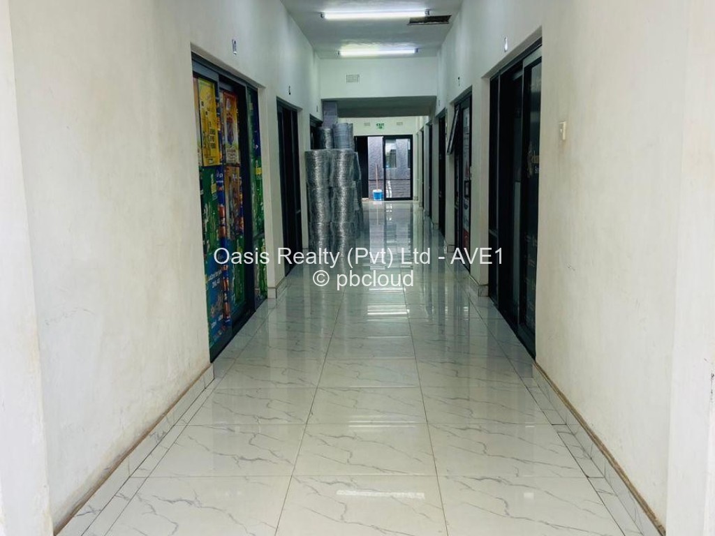 Commercial Property to Rent in Avenues