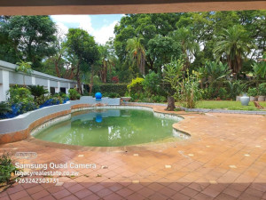 3 Bedroom House to Rent in Emerald Hill