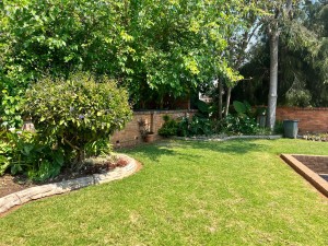 4 Bedroom House to Rent in Borrowdale Brooke