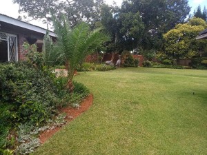 Cottage/Garden Flat to Rent in Chisipite