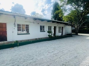 Commercial Property to Rent in Meyrick Park