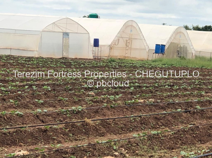 Farm for Sale in Chegutu