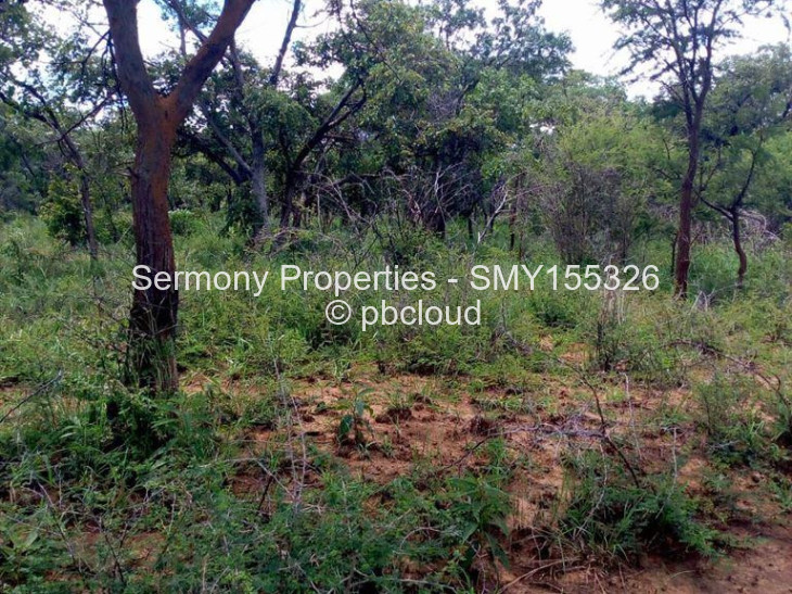 Land for Sale in Kadoma, Kadoma