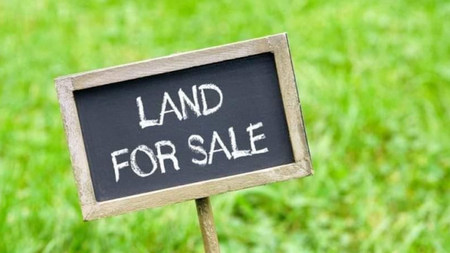 Stand for Sale in Carrick Creagh Estate