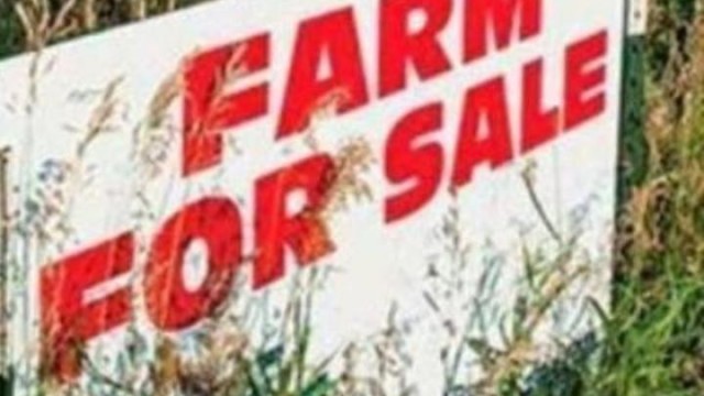 Farm for Sale