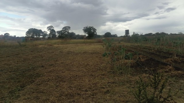 Land for Sale in Nyamandlovu