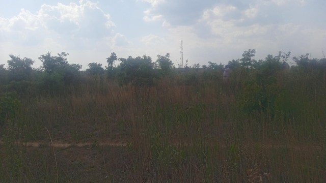 Stand for Sale in Ruwa